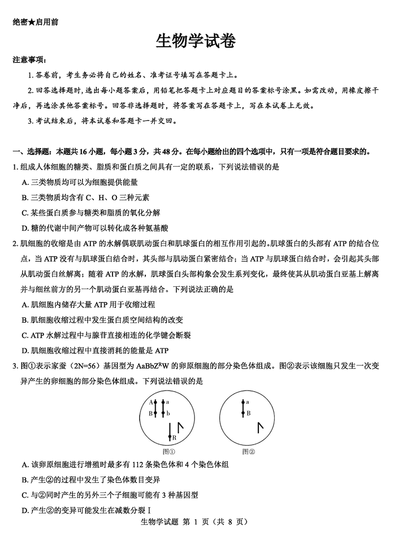 名校教研联盟2025届高三12月联考（西北卷）生物试卷及参考答案