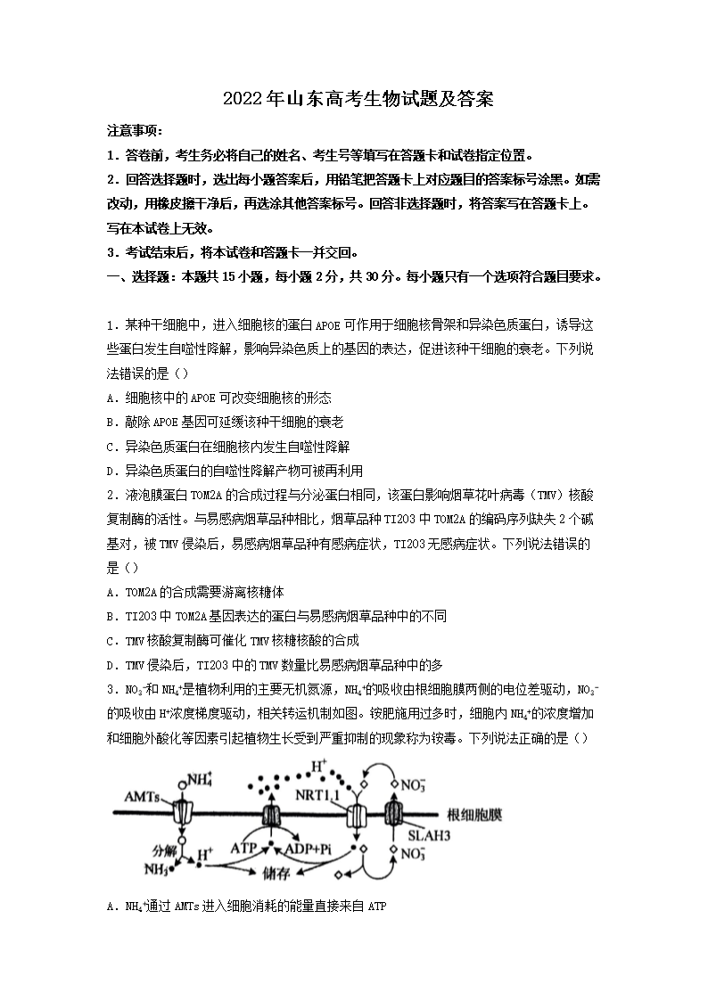 2022年山东高考生物试题及答案