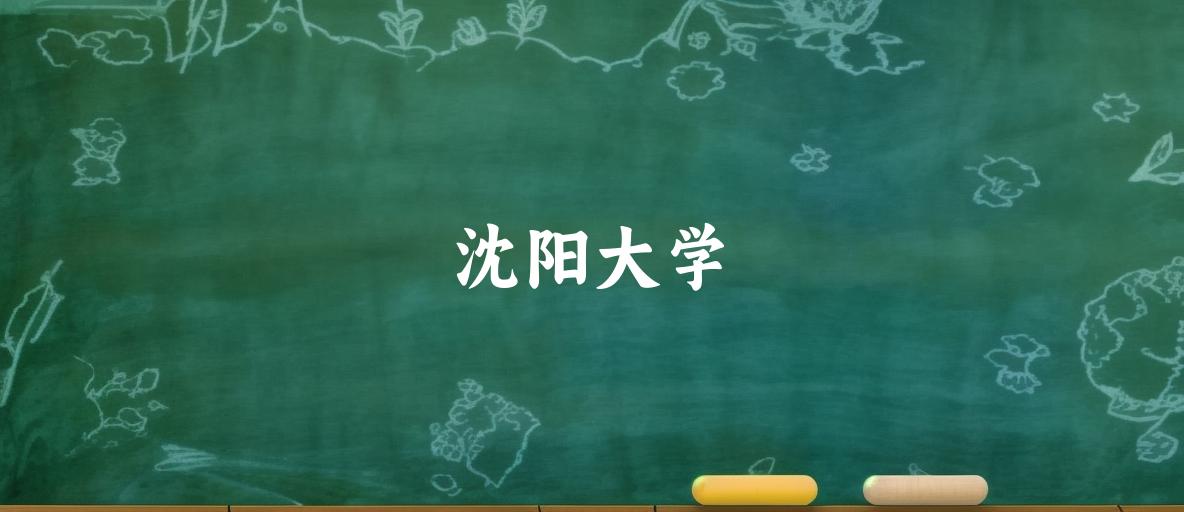 沈阳大学录取分数线汇总：2022-2024年详情一览（2025考生必看）