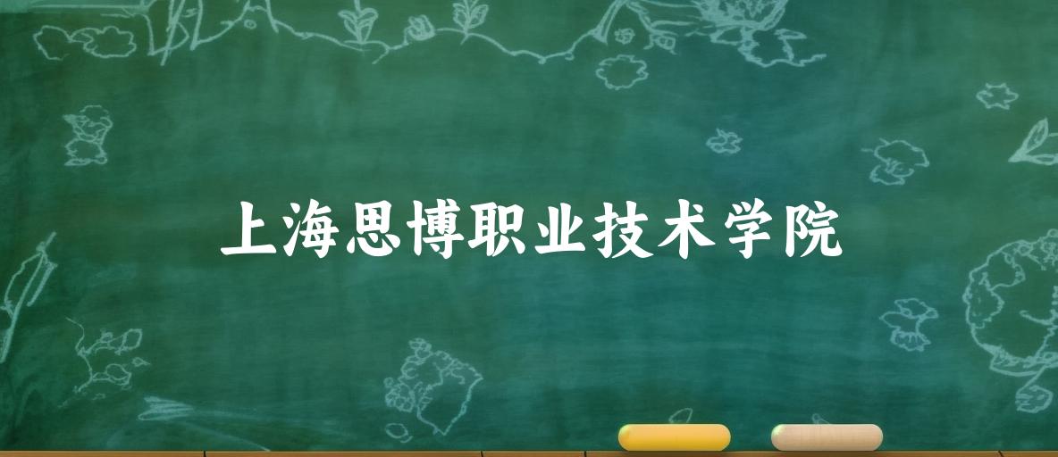 上海思博职业技术学院录取分数线汇总：2022-2024年详情一览（2025考生必看）