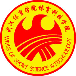2024武汉体育学院体育科技学院艺术类录取分数线（含2022及2023历年）