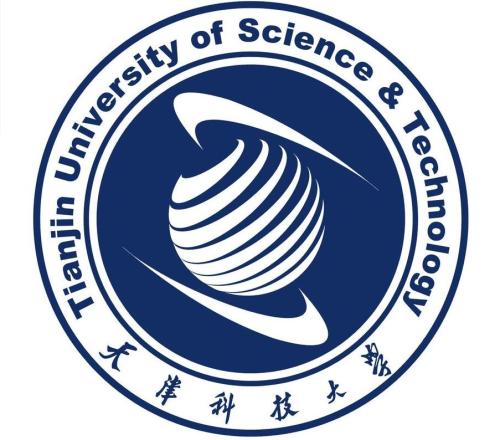 2024天津科技大学艺术类录取分数线