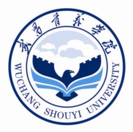 2025武昌首义学院艺术类学费多少钱一年及各专业收费标准