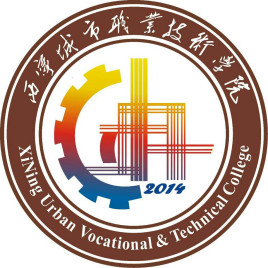 2025西宁城市职业技术学院艺术类招生计划及各专业招生人数