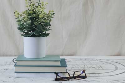 南京中医药大学2025年在山东各专业录取分数线（附院校分数线位次）