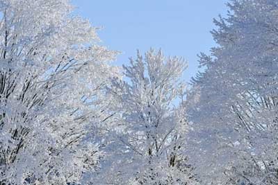 山西哪些大学招生医学实验技术专业及选科要求 共6所高校和开设学校推荐（2026参考）