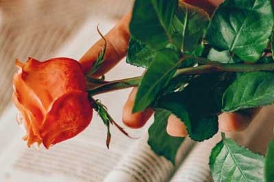 2025湖南科技职业学院在山西各专业学费一年多少钱 怎么交学费？如何交学费