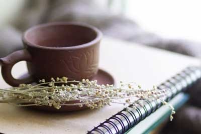 2025重庆护理职业学院在山东各个专业录取分数线及位次 附招生计划学费