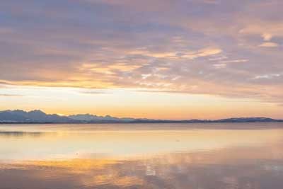 天津2026艺术统考成绩查询时间 几月几号公布分数