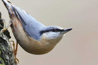 物化生和物化政谁厉害 2026该怎么选