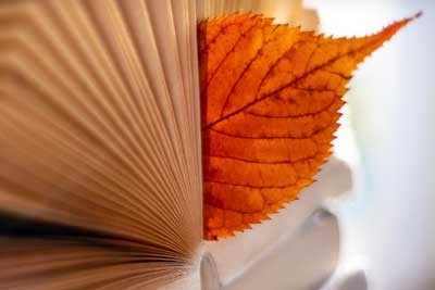 2026广西物理类262分左右能报哪些大学 可以上院校及位次（公办、民办）