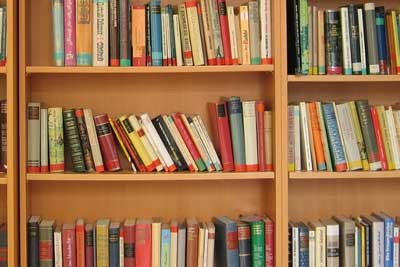 2025中国政法大学在河北各个专业录取分数线及位次 附招生计划学费