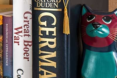 2025西南财经大学天府学院在新疆各专业学费一年多少钱 怎么交学费？如何交学费